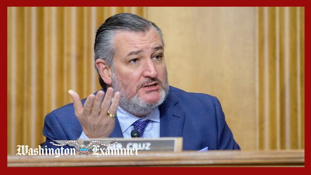 Ted Cruz downplays report he is setting up 2028 White House run