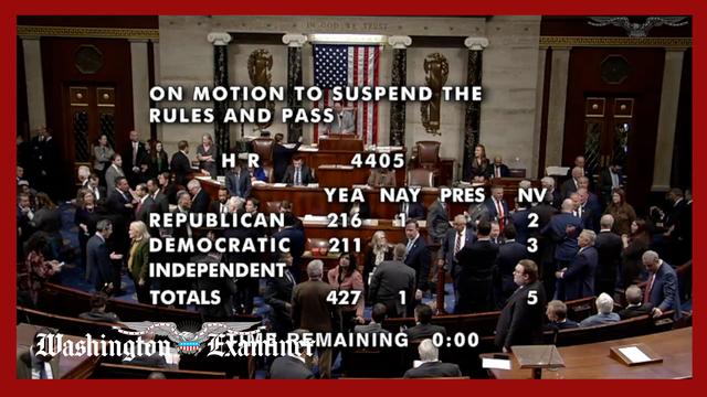 Every House Republican, bar one, votes to release Epstein files