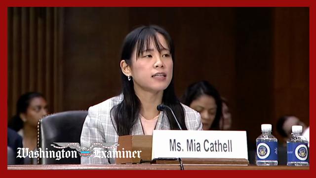 Washington Examiner’s Mia Cathell gives testimony on violence against ICE