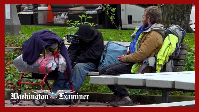 Community group works to shield Portland park from crime and drug use