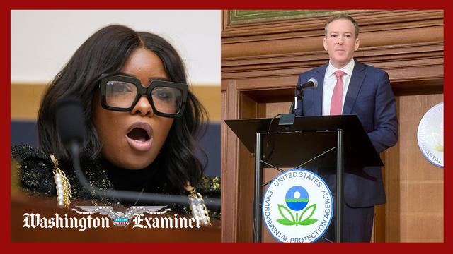 Crockett blasted after wrongly accusing Lee Zeldin of taking donations from Jeff