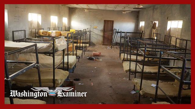 Portion of Catholic students kidnapped in Nigeria escape