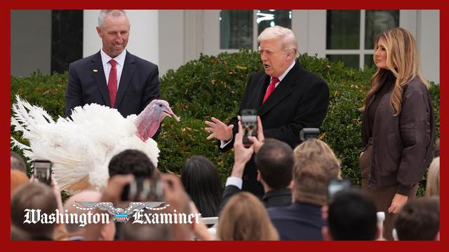 Trump continues turkey pardon tradition