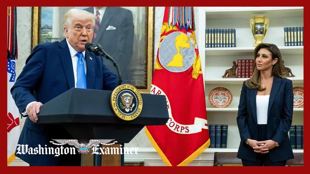 Appeals court finds Alina Habba unlawfully served as New Jersey prosecutor