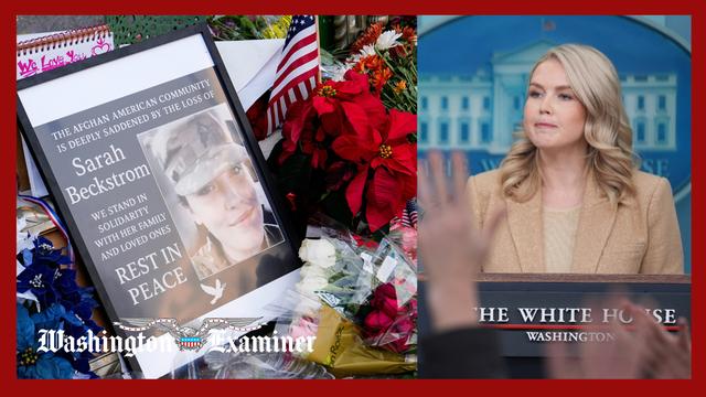 Leavitt condemns Guard attack and blames Biden for the security failure