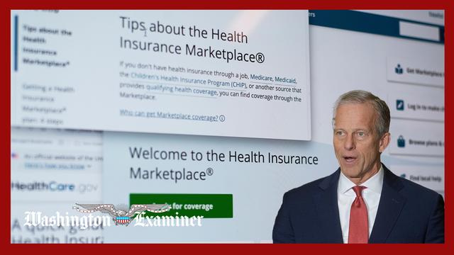 Obamacare fraud report gives fiscal conservatives boost in fight over subsidies