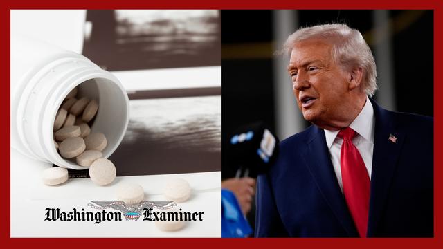 Top anti-abortion activists call on Trump to fire FDA chief