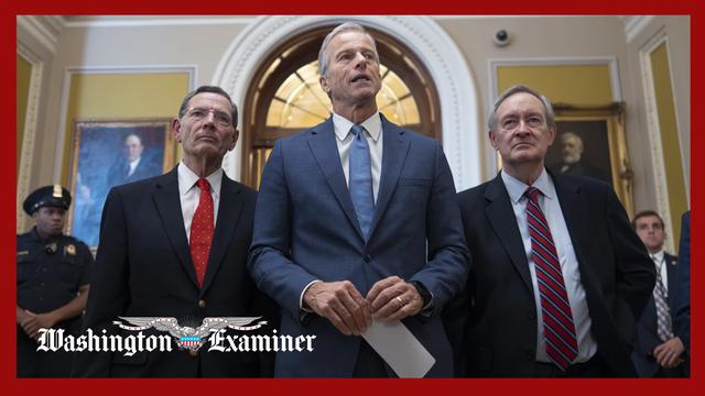 Thune to challenge Democrats’ Obamacare vote with GOP counterproposal