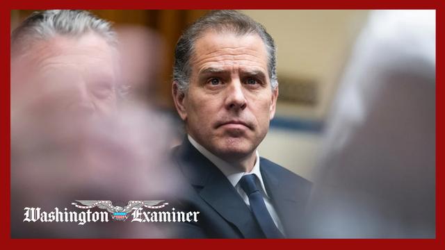 Hunter Biden disbarred in Connecticut after admitting to attorney misconduct