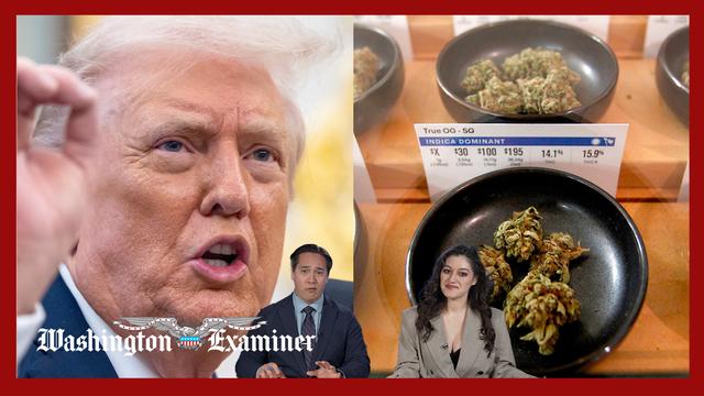 Yeas & Nays: Trump’s push to reschedule marijuana will backfire