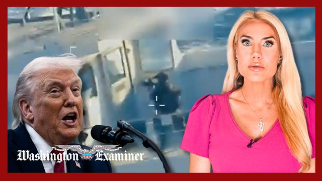 Venezuelan government designated terrorist organization Reiner son charged