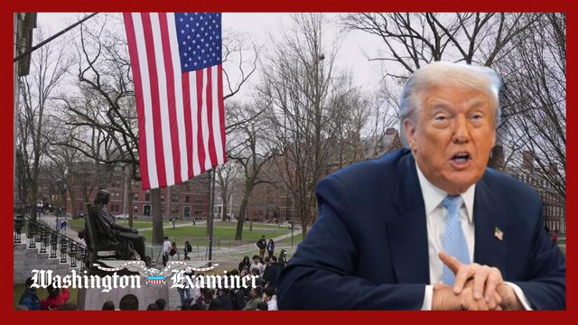 Far fewer foreign applicants to US colleges following Trump visa crackdown