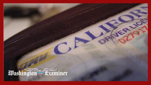 California postpones canceling licenses of illegal immigrant truck drivers