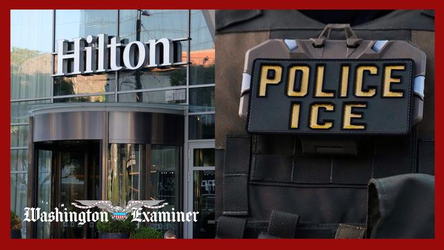Hilton yanks franchise from Minneapolis after hotel cancels ICE reservations