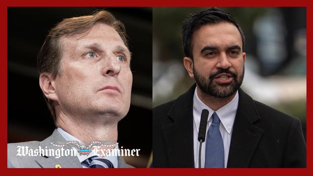 Mamdani and Goldman attack DHS over detention of NYC council employee