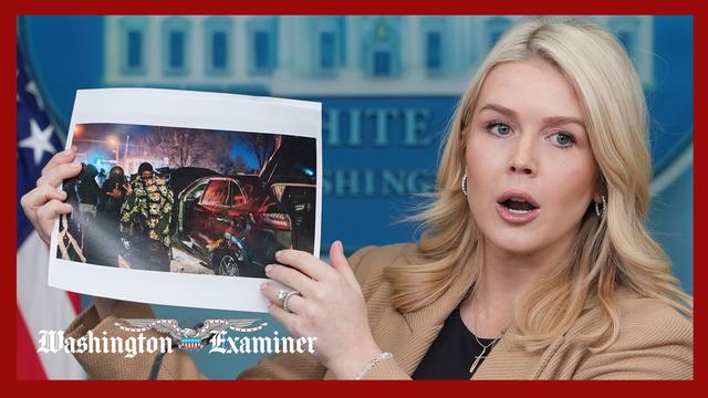 Leavitt calls for Democrats to ‘grab a coffee’ with an ICE officer