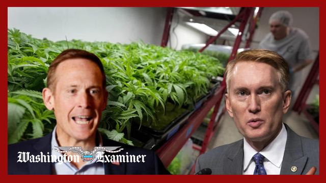 Lankford and Budd file amendment to block DOJ from reclassifying marijuana
