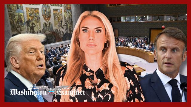 Leaders weigh Trump peace board as Minnesota hotels shut down over ICE protests