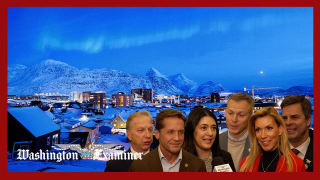House Republicans share what they think about Trump's interest in Greenland