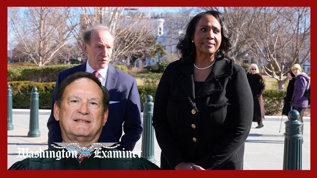 Alito asks if past support of Hitler or KKK could be enough to remove Fed gov.