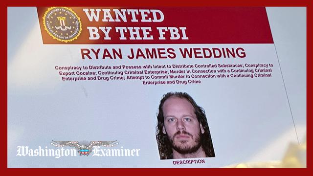 Olympic snowboarder-turned-alleged drug lord Ryan Wedding captured by FBI