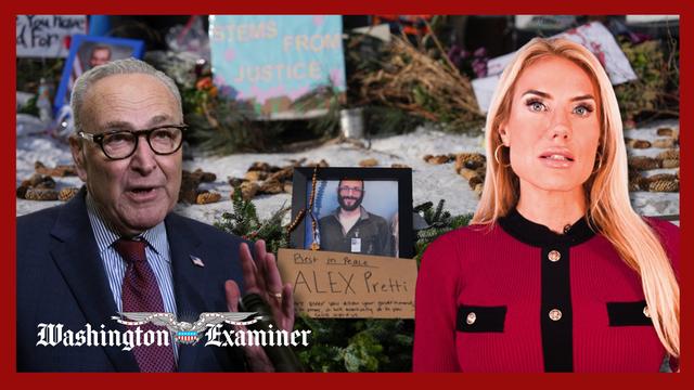 Congress responds to Alex Pretti shooting and ACLU seeks constraints