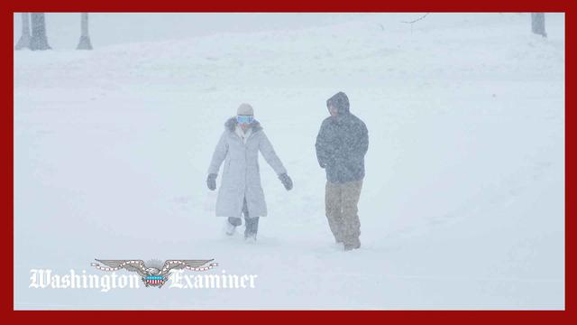 Over a dozen declared dead after major winter storm shutters schools, airports