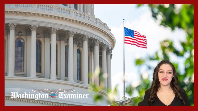 Fill in the Blank: If the government shuts  down this week, __ is responsible