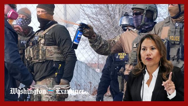 Texas Democrat admits shutdown over DHS will still allow funding ‘for years’