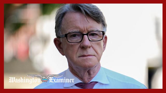 UK Labour member Peter Mandelson resigns from party over Epstein ties