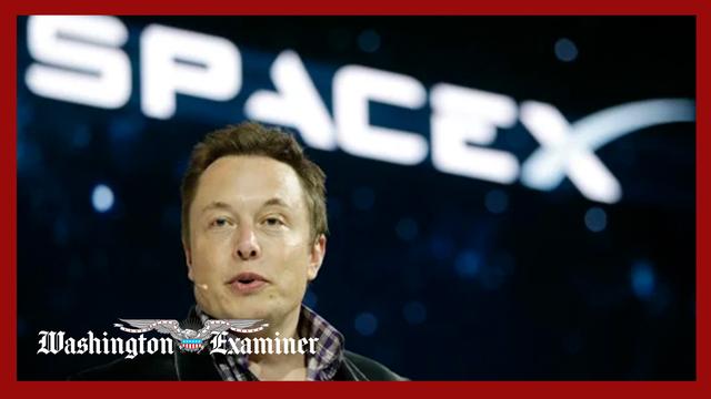 SpaceX to focus efforts on building a ‘self-growing’ city on the Moon, Musk says