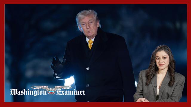 Fill in the Blank: Trump will fire __ over the Epstein files