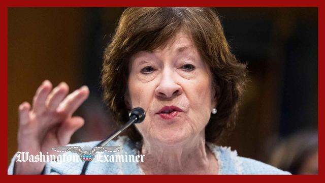Susan Collins announces Senate reelection campaign