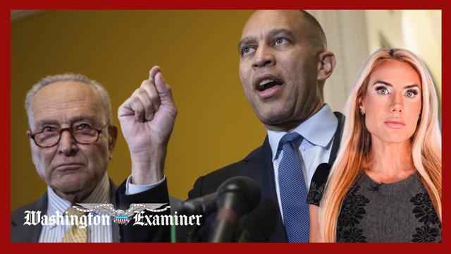 Schumer rejects DHS deal, House blocks tariff ban, FBI raids Fulton