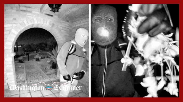 Nancy Guthrie search stalls after authorities release detained suspect