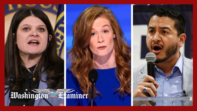 Democratic Senate hopeful Haley Stevens faces barrage of online trolling