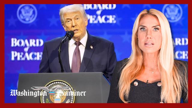 Vatican rejects Trump peace board and Mace presses CIA on Epstein