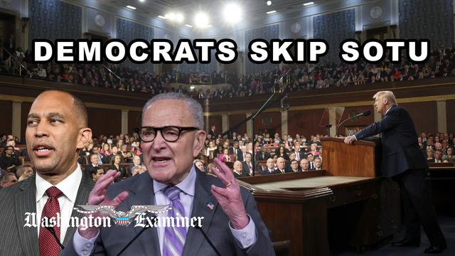 Democrats to skip Trump’s State of the Union for counter rally on National Mall