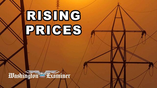 Rising electricity prices key to midterm elections but no immediate fix ready