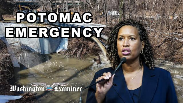 Bowser requests federal help over Potomac sewage spill public emergency