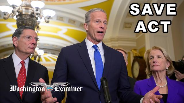 MAGA Right sours on Thune over SAVE Act fight