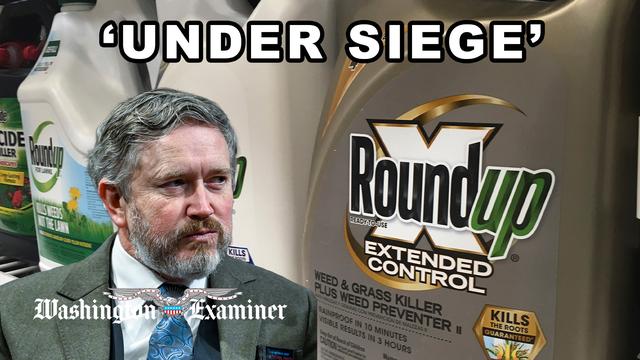 Massie says US ‘under siege’ by Roundup maker Bayer to avoid herbicide liability