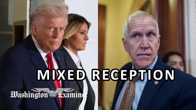 Mixed GOP reception for Trump ban on large investors buying single-family homes