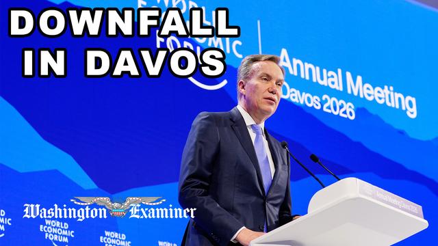 Downfall in Davos: World Economic Forum chief resigns over Epstein ties