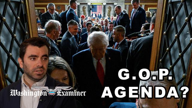 Joe Lawler on what President Trump wants to do legislatively