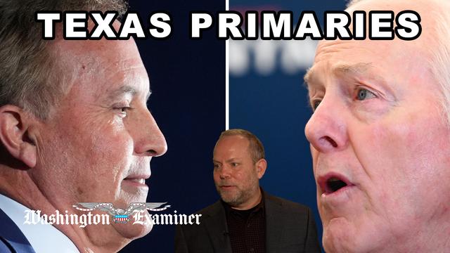 David Mark on the Texas Senate Primaries