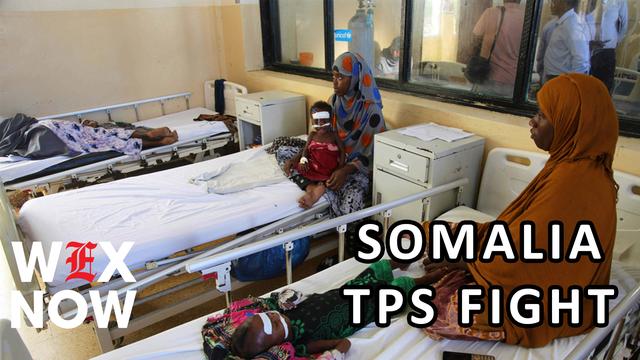 Somalis sue over TPS revocation as Trump seeks Supreme Court help