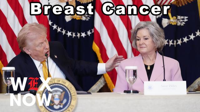 Susie Wiles diagnosed with ‘early stage’ breast cancer