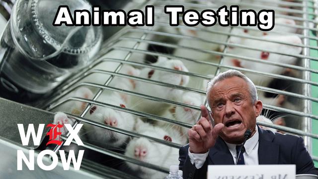 Trump HHS ramps up biotech to phase out animal testing