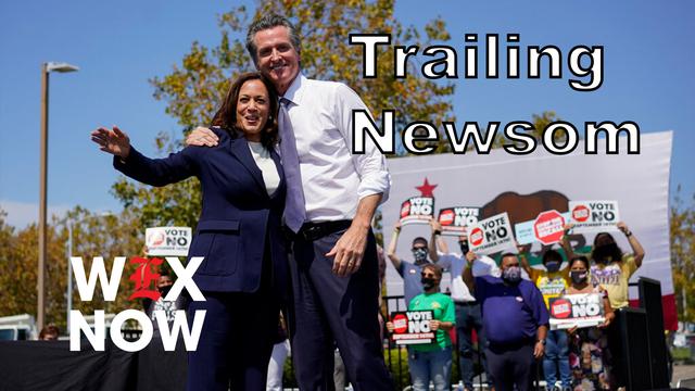 California Democrats overwhelmingly favor Newsom over Harris for 2028 Poll 